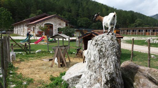 La Fattoria degli Animali